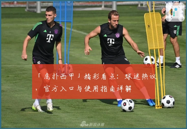 「虎扑西甲」精彩看点：球迷热议，官方入口与使用指南详解