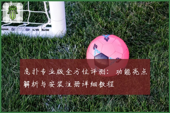 虎扑专业版全方位评测：功能亮点解析与安装注册详细教程