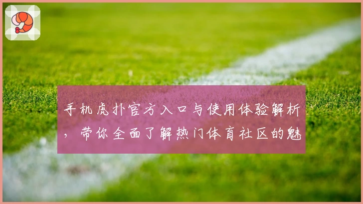 手机虎扑官方入口与使用体验解析，带你全面了解热门体育社区的魅力