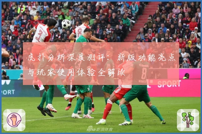 虎扑分析深度测评:新版功能亮点与玩家使用体验全解读